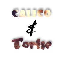 Calico and Tortie Webring