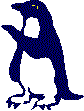 a penguin