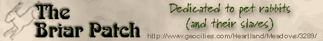 Banner 1 - 468 x 60