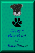 Ziggy's Paw Print