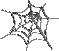 a spider web