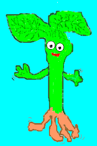 Plantz Love to Boogie