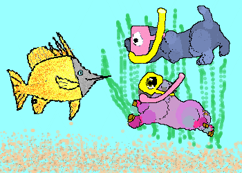 Petz Snorkeling
