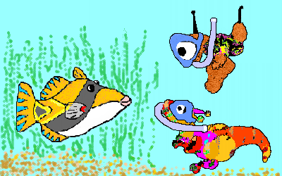 Oddballz Snorkeling