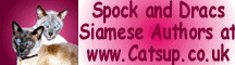 banner.gif (10482 bytes)