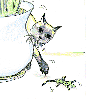 Two Geckos 3