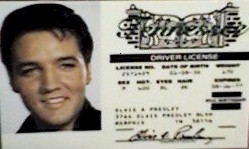 Elvis Drivers License reproduction