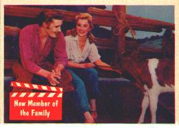 1956 Elvis Card #49