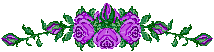 purple rose bar