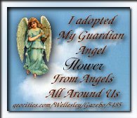 Angel Adoption Center Certificate