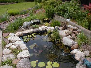 The pond continues to develop