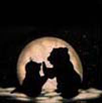 Bear/Moon