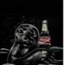 Seal