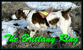 The Brittany Web Ring
(Kim Brunen Photo)