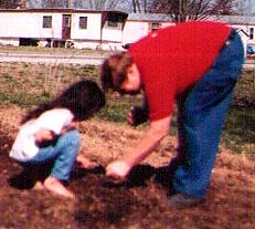 helping papa plant beets