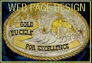 Prorodeo Award