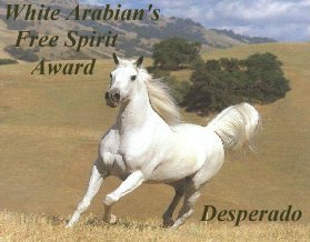 Free Spirit Award