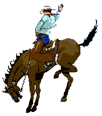 Saddle Bronc