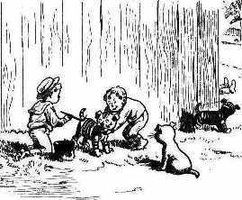 Pups 1