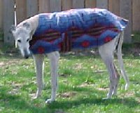 Jazz King wearing coat