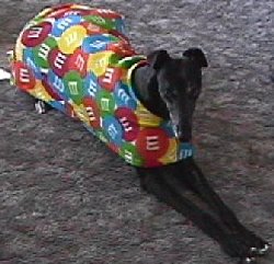 M&M Coat