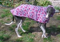 Windy wearing Coat and Snood
