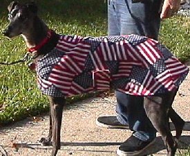 Flag Coat