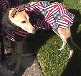 Flag Coat