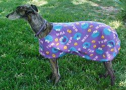 Yum-Yum Coat