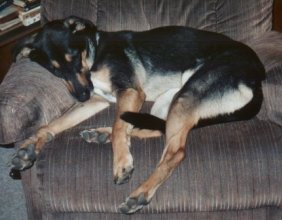 Courtney sleeping in Dad's chair