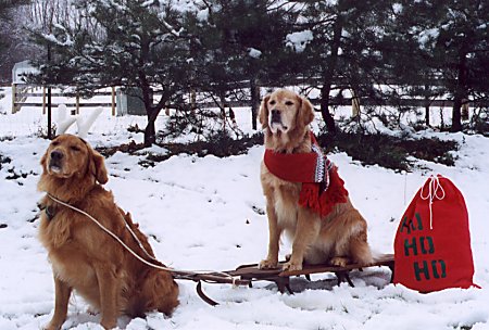 Moose and Jake 2001
