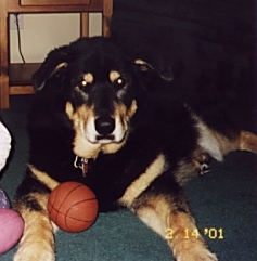 Shana
