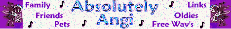 Absolutely Angi, banner with musical notes