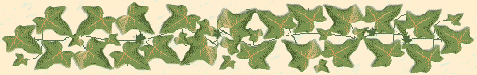 ivy vine divider
