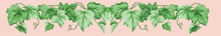 ivy vine divider
