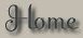 icon for return to home