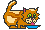 brown kitty with wagging tail