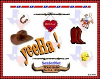 a Texas theme graphic with boots, saddle, horns