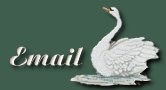 swan icon for e-mail