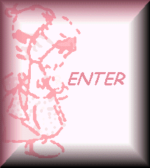 enter icon