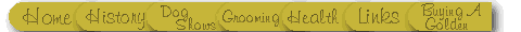 Navigation Bar