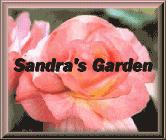 Sandras
