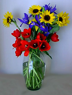 ROSES.jpg (24728 bytes)
