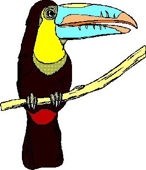 toucan
