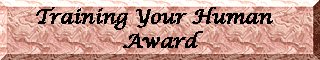 Training Your Human Award