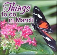 Things to Do in March