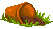 pot