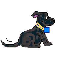 Jazz the dog
