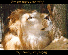thumbnail of card #10