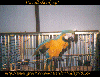 thumbnail of card #14
